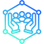 Digital <br> Inclusion